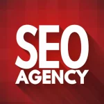 agencia de posicionamiento seo - alan miranda - seo en tijuana